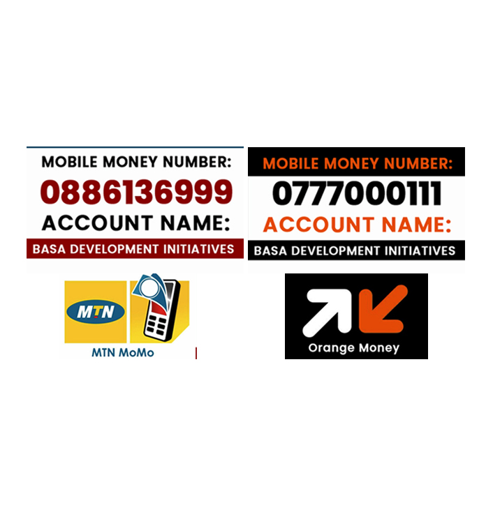 Mobile Money